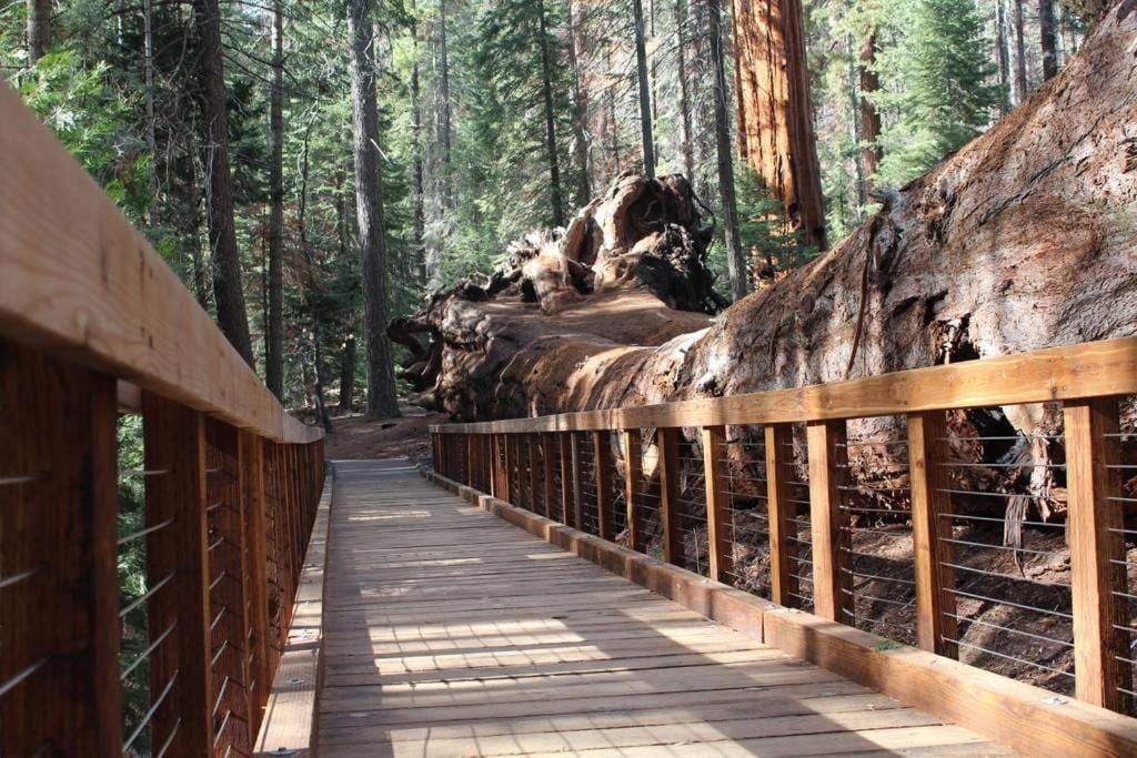Villa Shirley Creek Retreat: A Mountain Oasis Wofford Heights Esterno foto